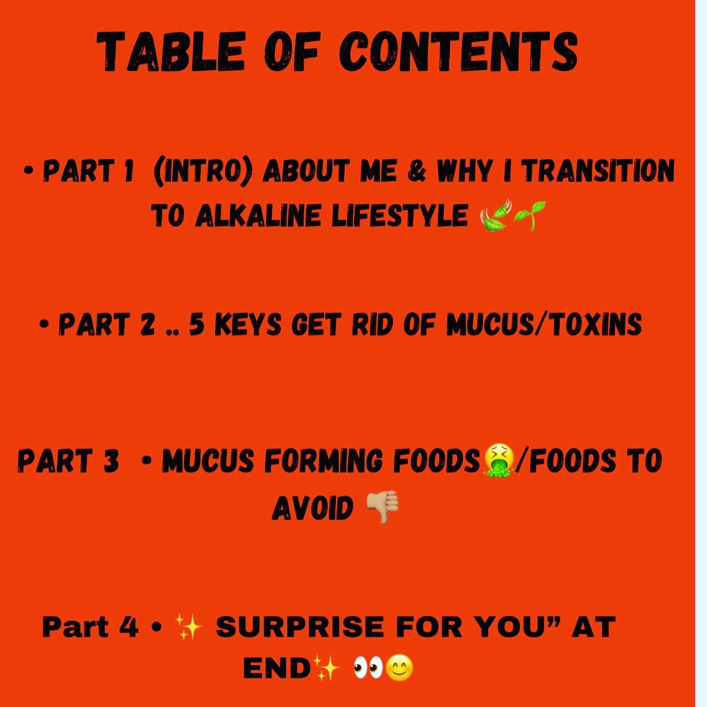 🌱Holistic E-Book✨🌱